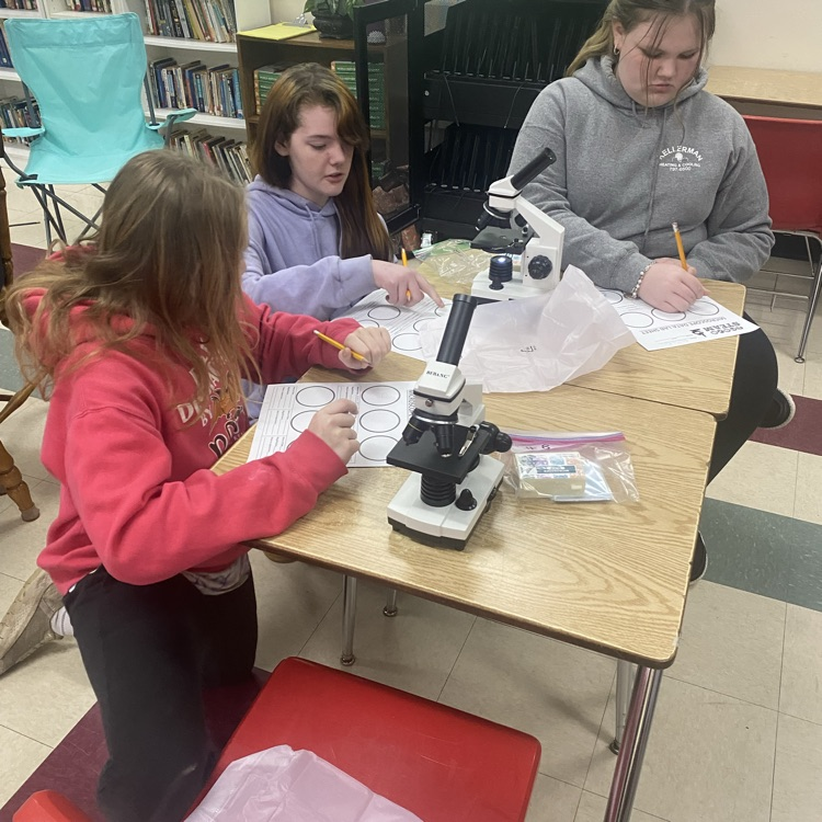 Students in Mrs. Patrick’s science class used a microscope to examine different types of cells.