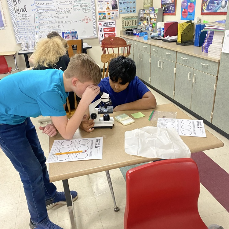 Students in Mrs. Patrick’s science class used a microscope to examine different types of cells.
