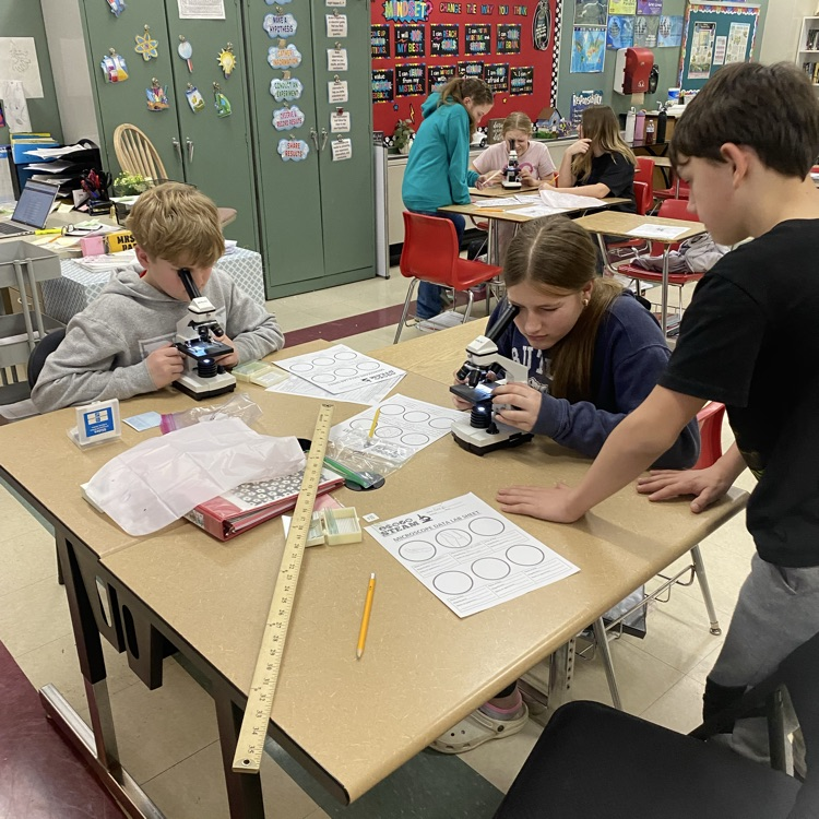 Students in Mrs. Patrick’s science class used a microscope to examine different types of cells.