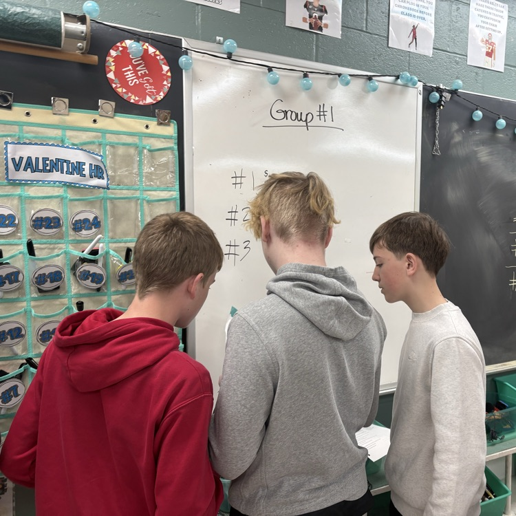 7th graders collaborated in groups to identify whether samples were biased or unbiased and decide if conclusions drawn from them were actually valid. 