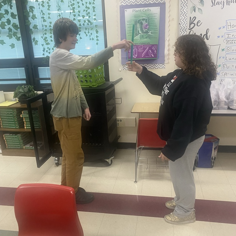 Students in Mrs. Patrick’s science class are learning about the brain and nervous system. They did an activity called the “Ruler drop test” to see their response/reflex time.