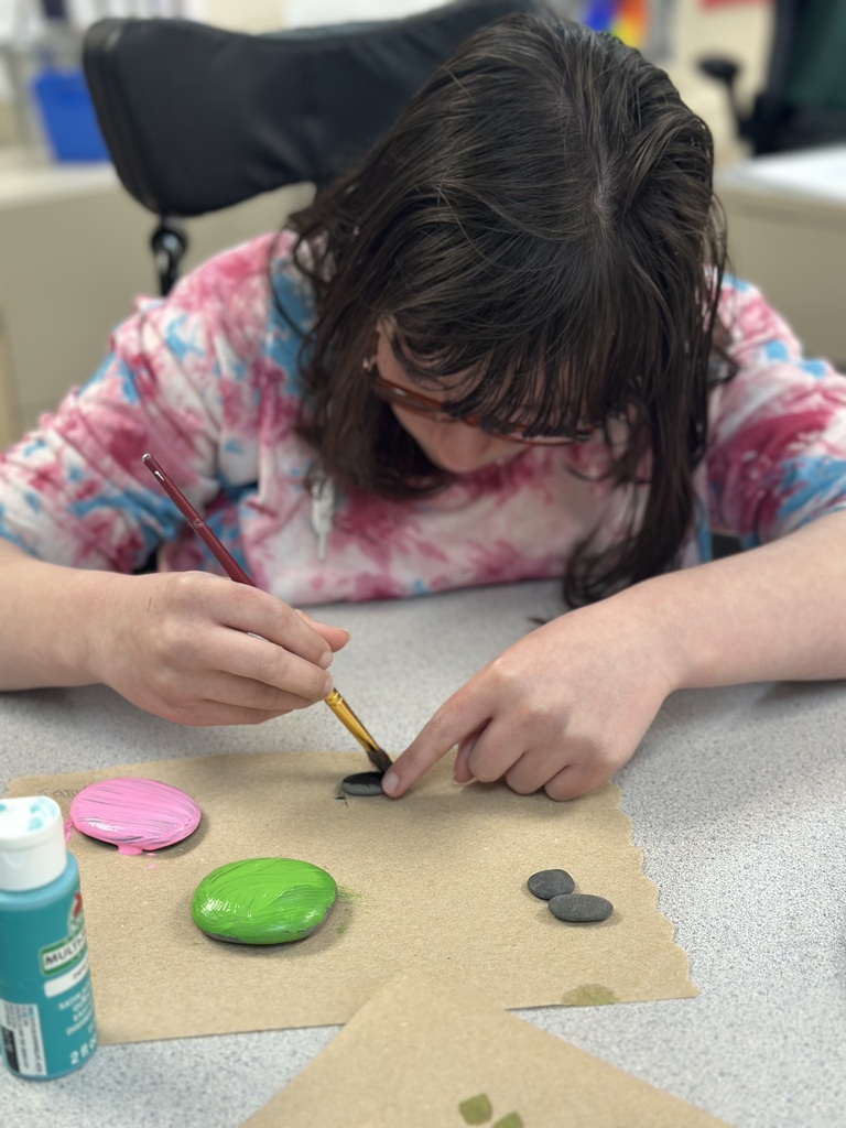 As part of their KINDNESS CHALLENGE while reading The Ultimate Gift, students painted kindness rocks to hide around the Burke Park and walking path in Bethel. 