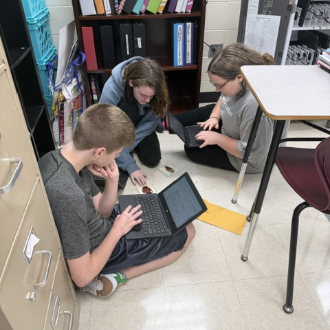 Thinking Like Historians!🔎