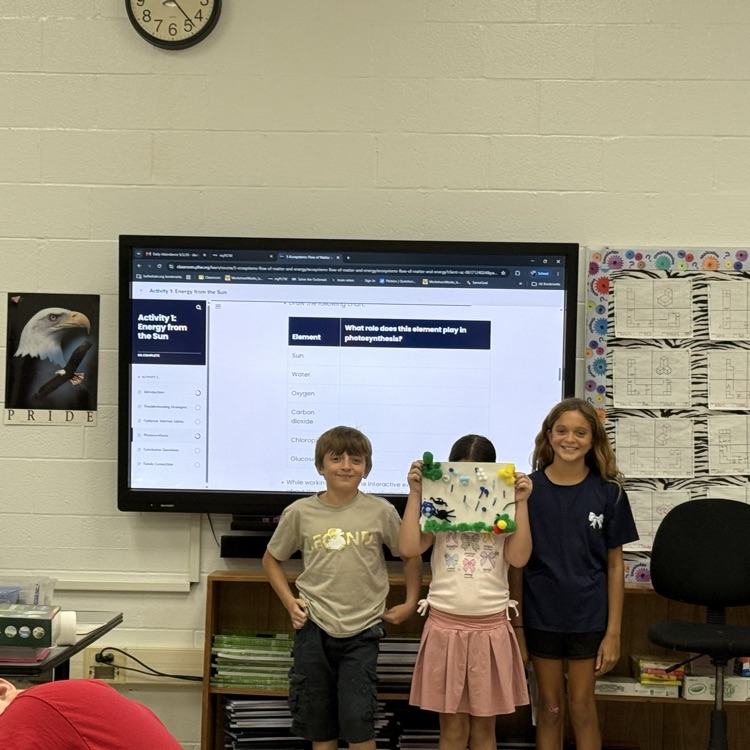5th grade PLTW photosynthesis models Students were learning about the process of photosynthesis and created models to illustrate the roles of the elements involved. 