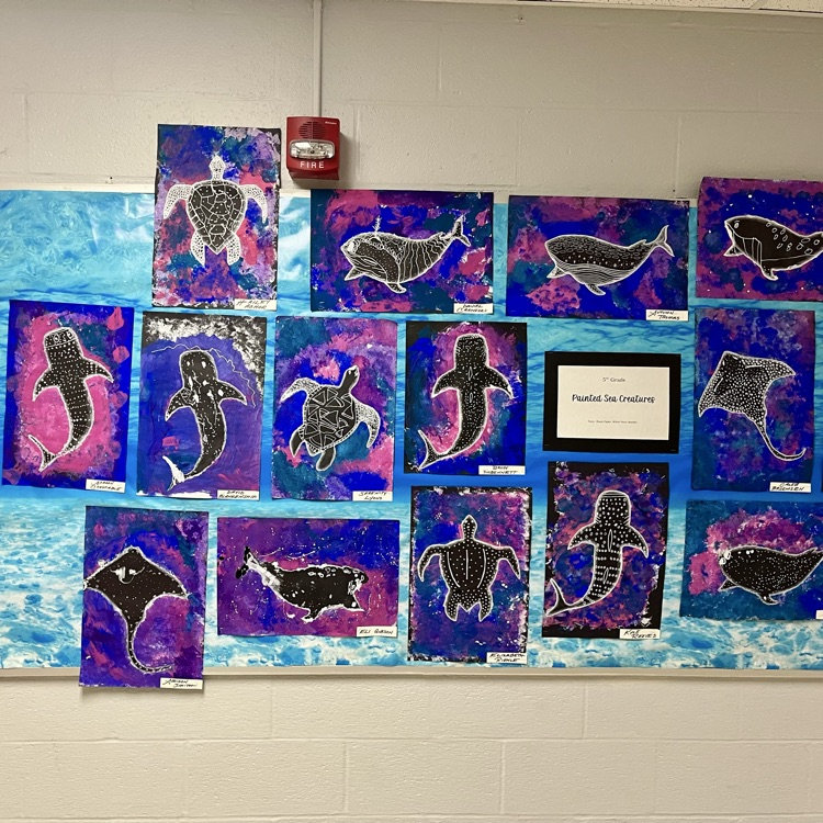 5th grade’s completed Painted Sea Creatures!! They turned out AMAZING!! So proud of the hard work they did.