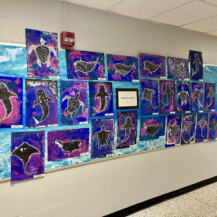 5th grade’s completed Painted Sea Creatures!! They turned out AMAZING!! So proud of the hard work they did.