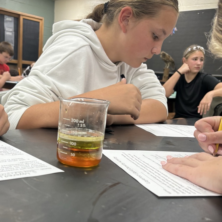 🧪 Density Lab in 7th grade science! They predicted, poured, layered, and calculated their way to figuring out which liquids were the most and least dense!