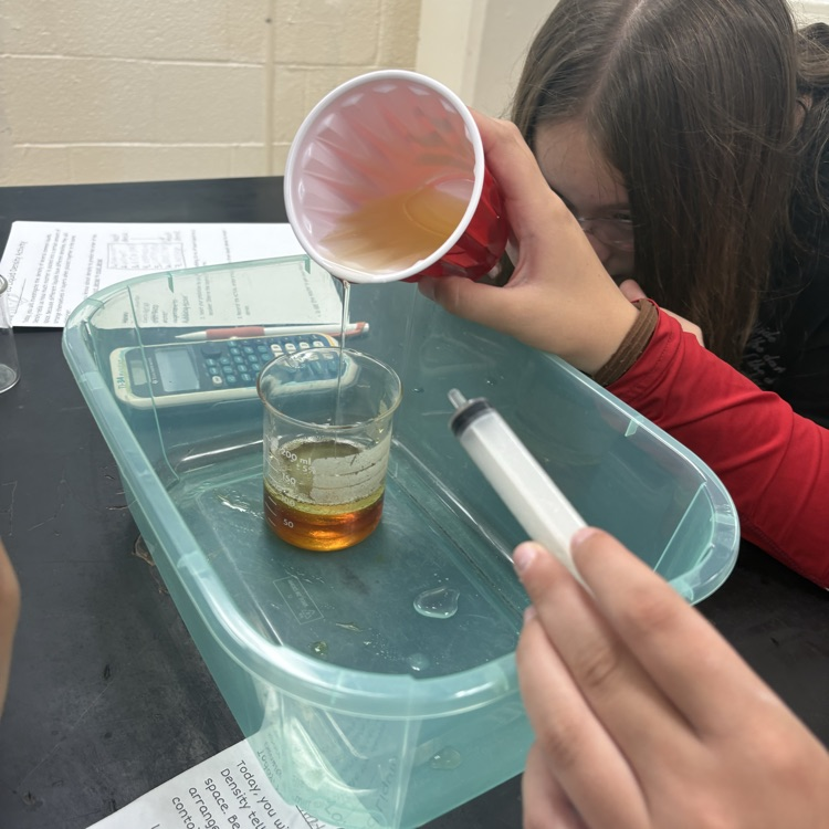 🧪 Density Lab in 7th grade science! They predicted, poured, layered, and calculated their way to figuring out which liquids were the most and least dense!