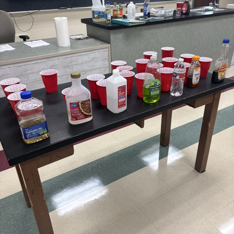 🧪 Density Lab in 7th grade science! They predicted, poured, layered, and calculated their way to figuring out which liquids were the most and least dense!