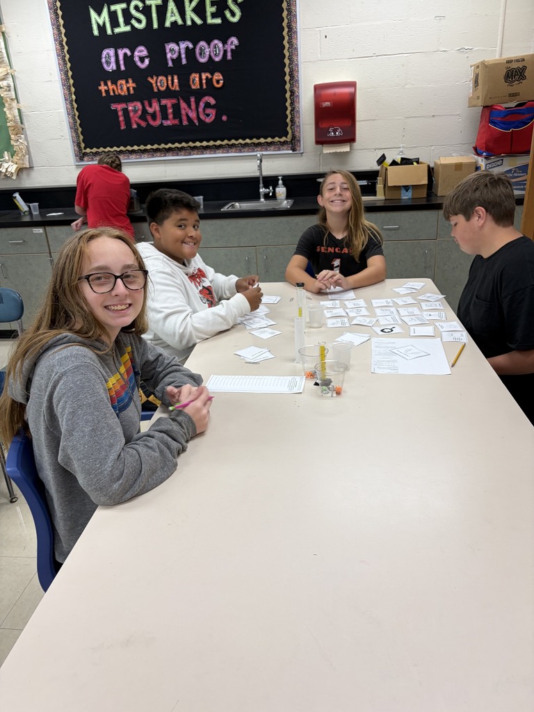 Working hard on a card sorting activity!