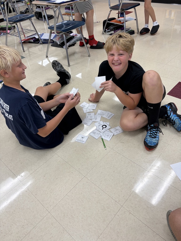 Working hard on a card sorting activity!