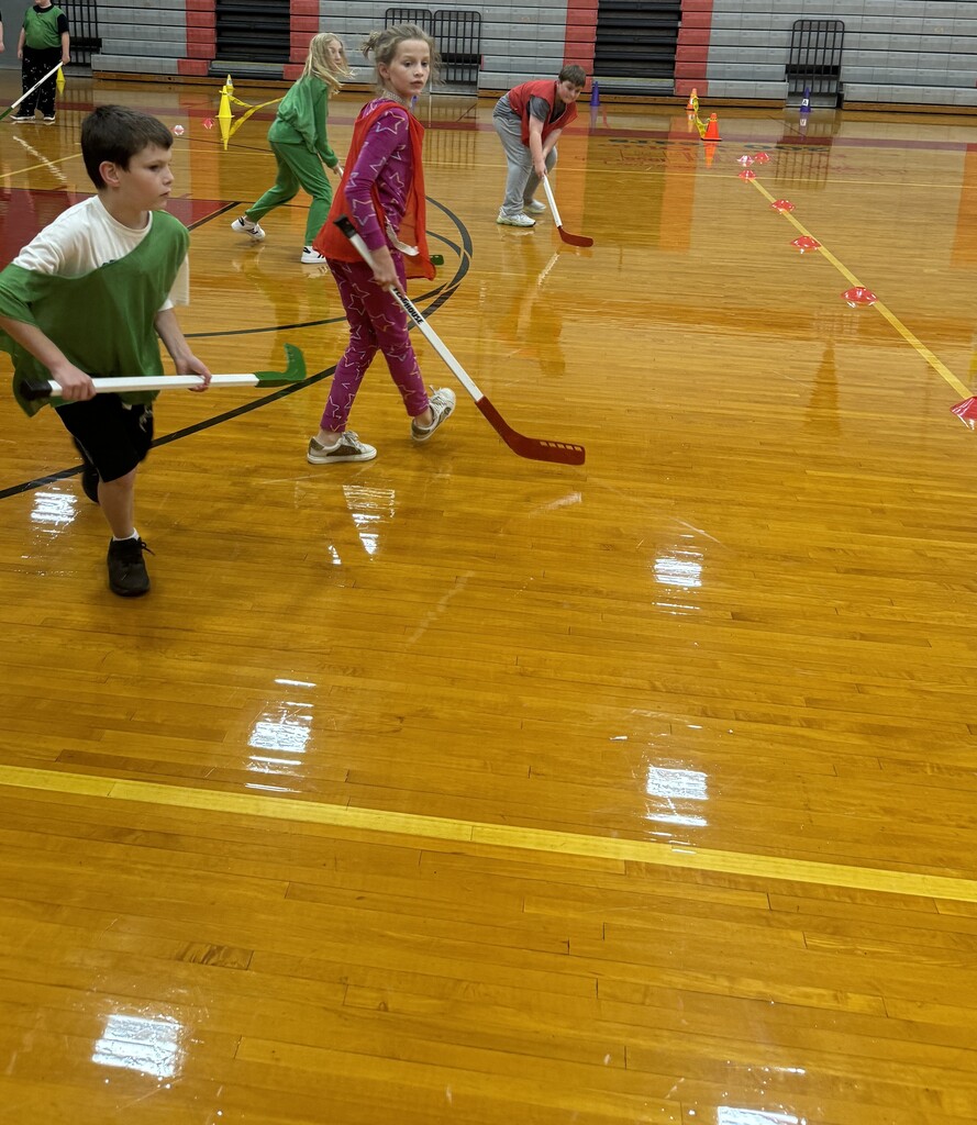 Mrs. Frazier's 5th grade Physical Education classes just finished up their Hockey Unit. They did a great job, and all teeth are accounted for 😀