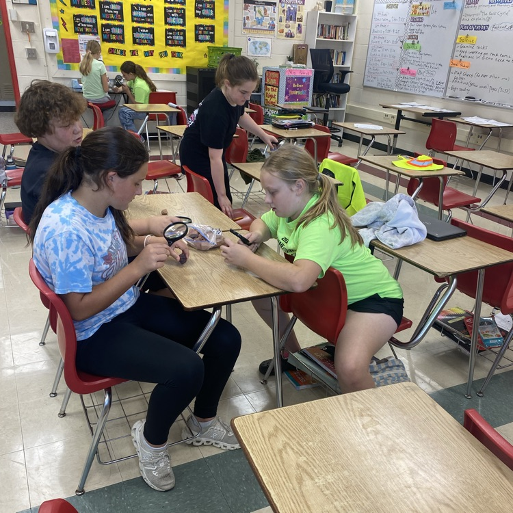 Students in Mrs. Patrick’s science class have been learning about The Rock Cycle and got to examine different types of rocks. 