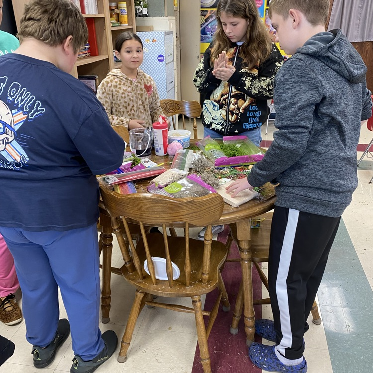 Student’s in Mrs. Patrick’s classroom created their own ecosystem model.