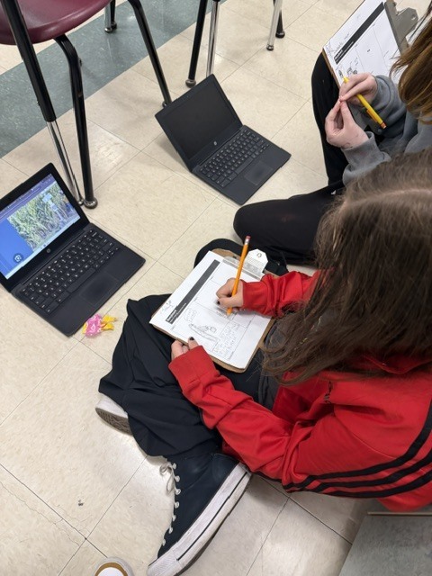 🎬✏️ From readers to storytellers! Students in Mrs. Starline’s language arts class are bringing stories to life through storyboards! Combining illustrations with written details, they’re exploring how characters, setting, and events come together to tell a story—one frame at a time. 📖✨ We love seeing their creativity and thoughtful planning in action! 🐅