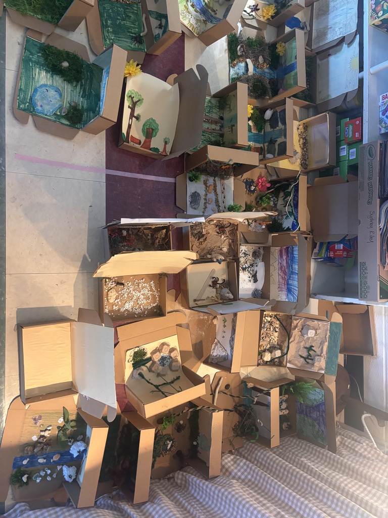 Ms. Riley’s 5th grade Ecosystem in a box project!