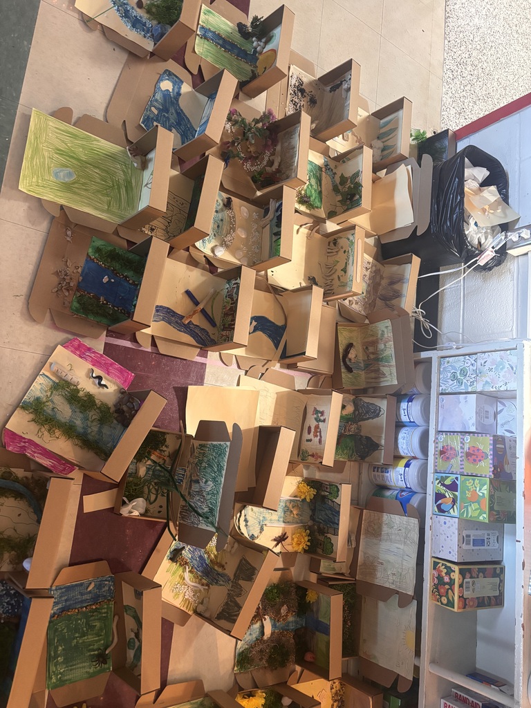 Ms. Riley’s 5th grade Ecosystem in a box project!