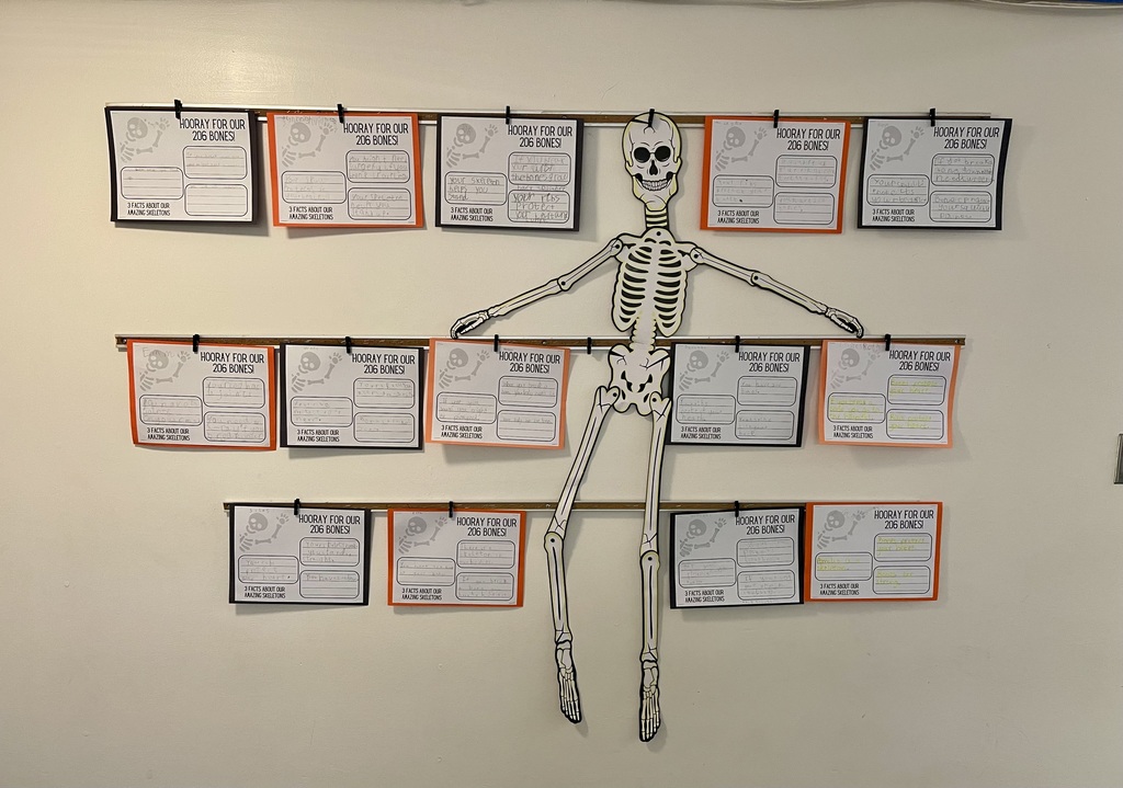 Skeleton project