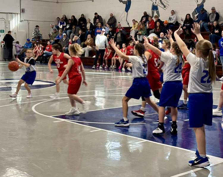 girls peewee basketball
