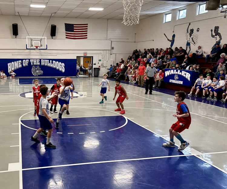 boys peewee basketball 