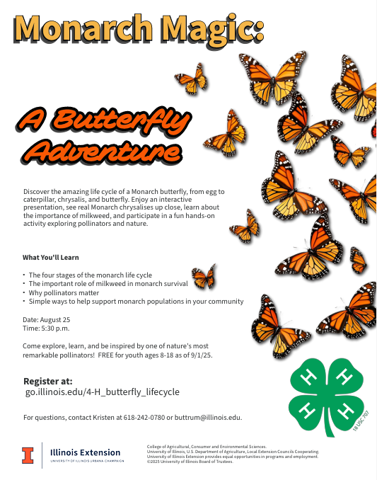 Monarch Magic Flyer