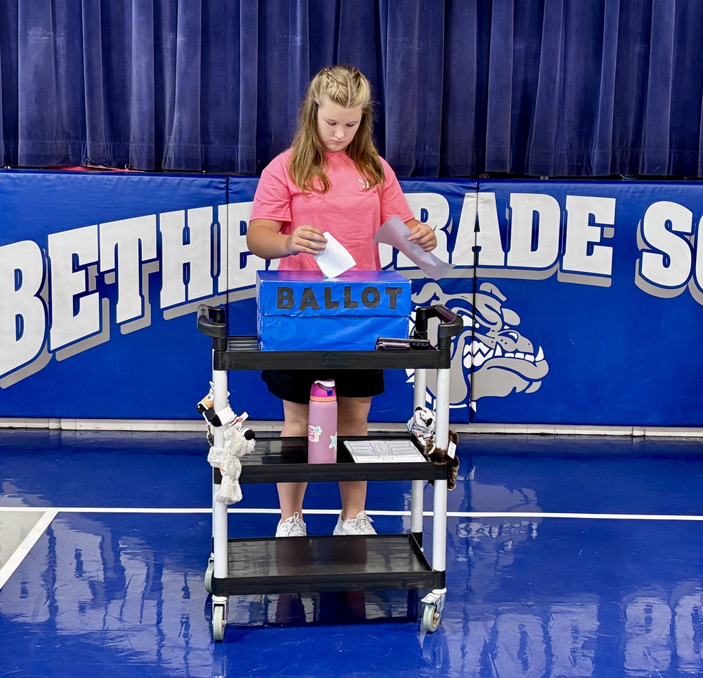 Casting the Ballot