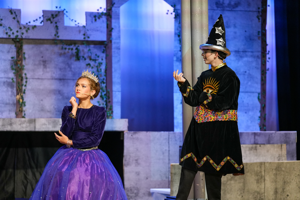 Once Upon a Mattress