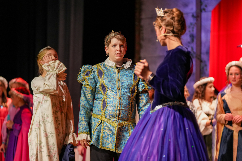 Once Upon a Mattress