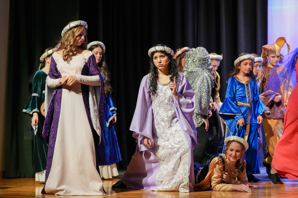 Once Upon a Mattress