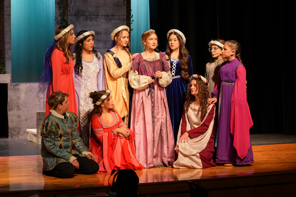 Once Upon a Mattress