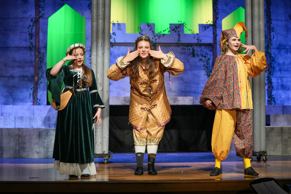 Once Upon a Mattress