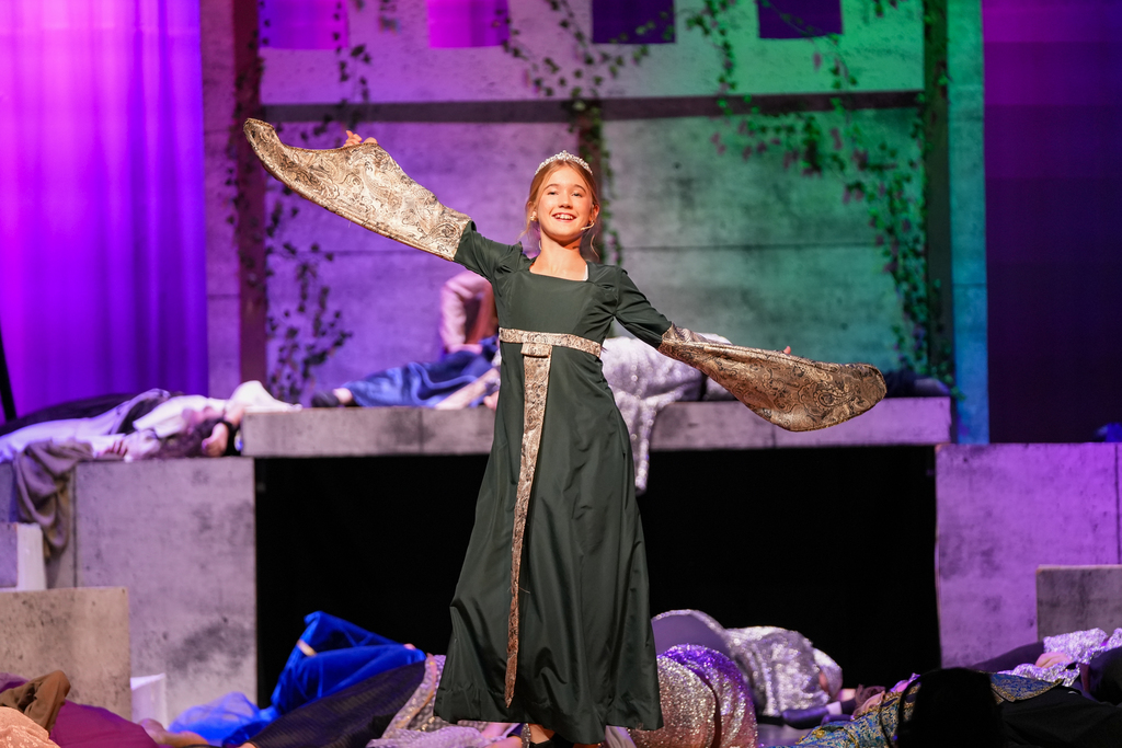 Once Upon a Mattress