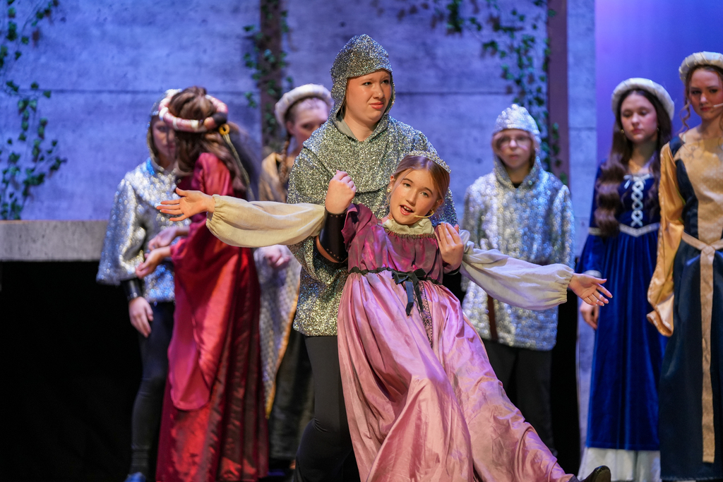 Once Upon a Mattress