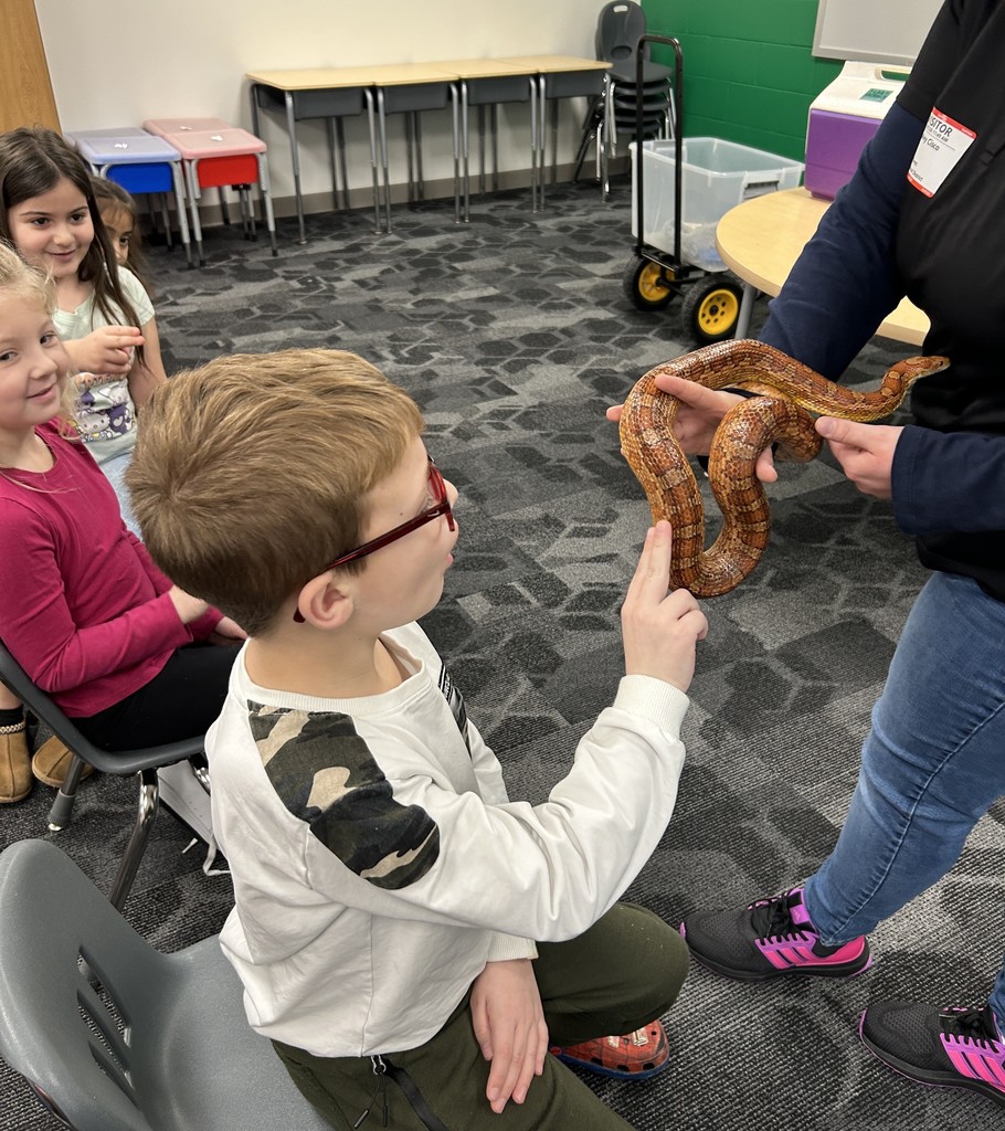 1st Grade Animal Encounter from Brukner Nature Center