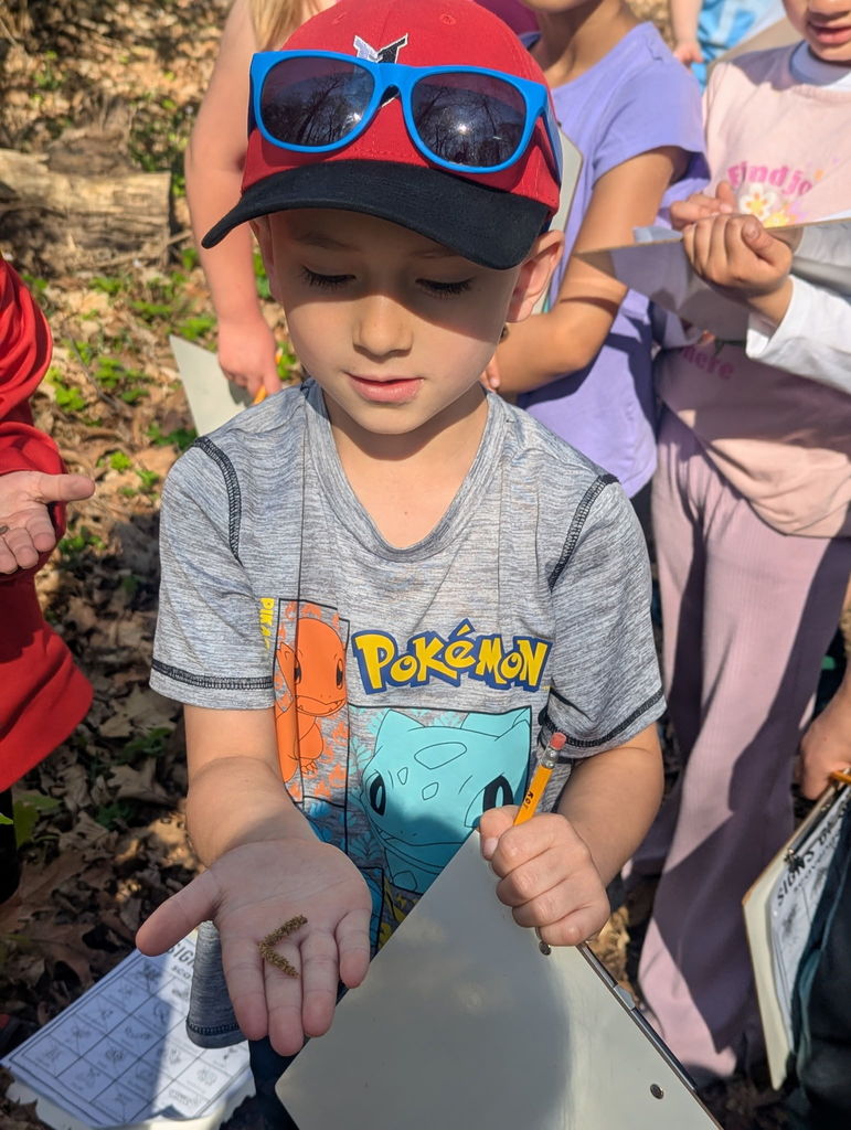 1st Grade Spring Walk