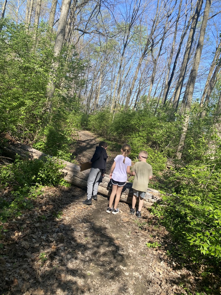 1st Grade Spring Walk