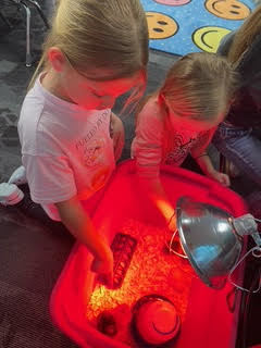 1st Grade Chick Hatching