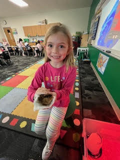 1st Grade Chick Hatching