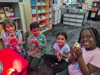 1st Grade Chick Hatching