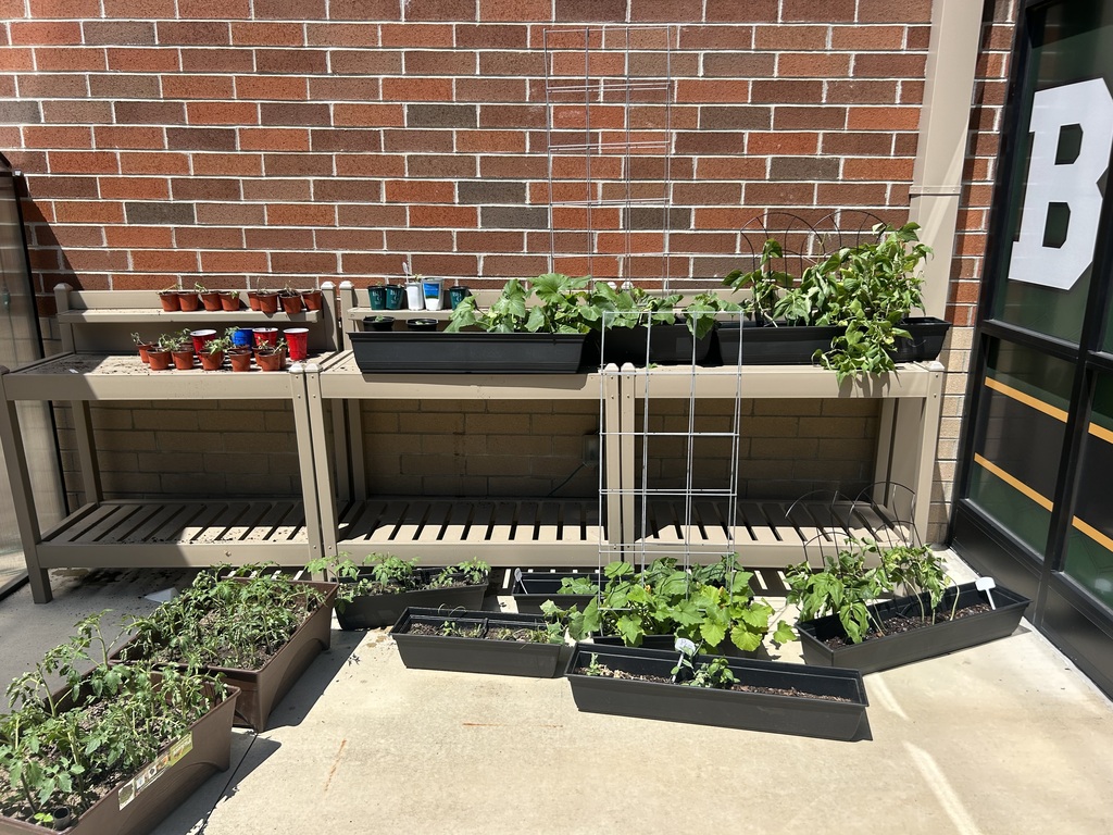 Second Grade Grows Program