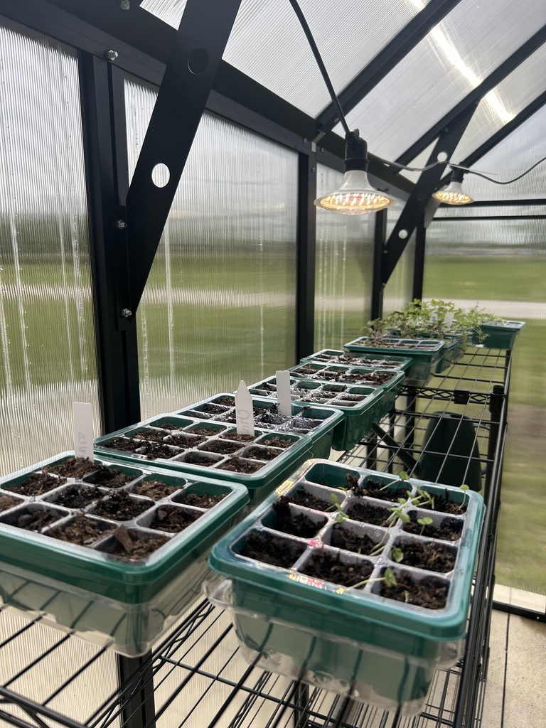 Second Grade Grows Program