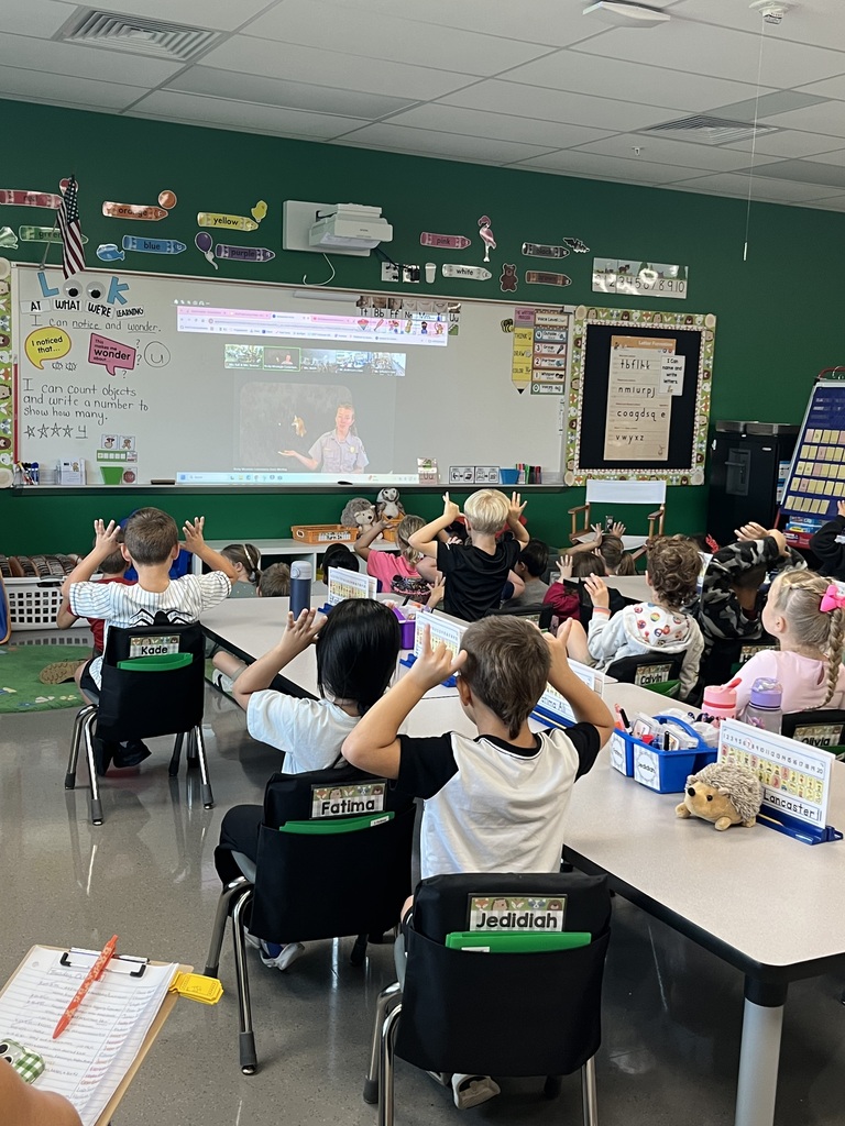 Kindergarten Sense-a-tional Rocky Program