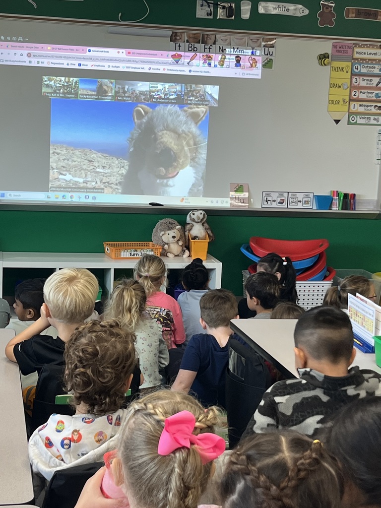 Kindergarten Sense-a-tional Rocky Program