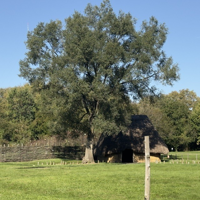 7th Grade Trip to SunWatch Village