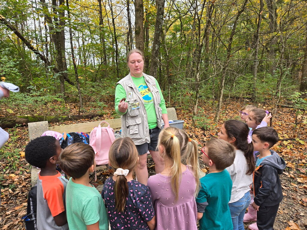 First Grade Field Trip to Charleston Falls