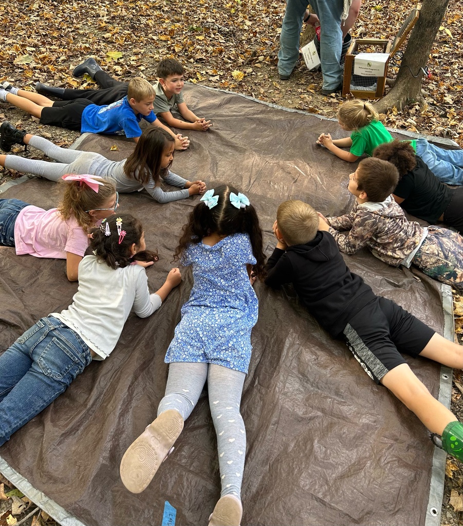 First Grade Field Trip to Charleston Falls
