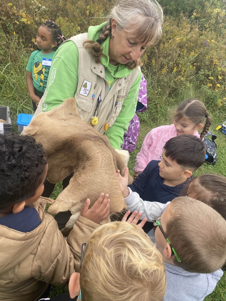 First Grade Field Trip to Charleston Falls