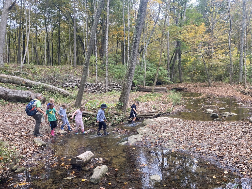 First Grade Field Trip to Charleston Falls