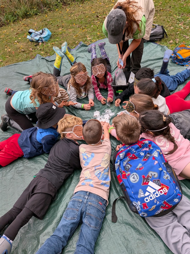 First Grade Field Trip to Charleston Falls