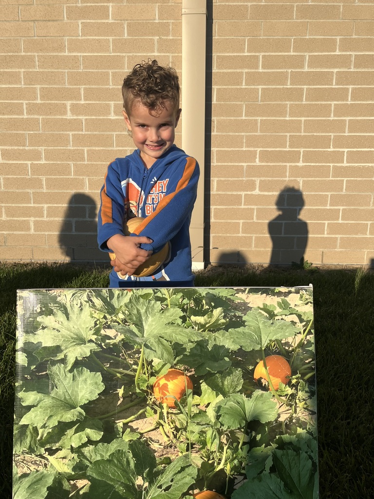 A boy in a blue and orange sweatshirt holding a pumpkin